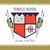 Simple Minds - Sparkle In The Rain (30th Anniversary)