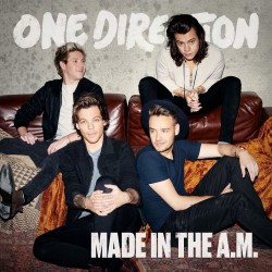 One Direction, Made In The Am