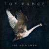 Foy Vance - The Wild Swan