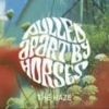 Pulled Apart By Horses - The Haze