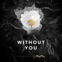 Avicii - Without You