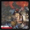Jens Lekman - You Are The Light