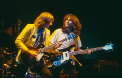 Rush 1981 live