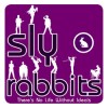 Sly Rabbits - There's No Life Without Ideals
