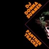 DJ Donna Summer - Panther Tracks