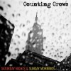 Counting Crows - Saturday Nights & Sunday Mornings