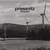 Priessnitz - Potichu?