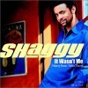 Shaggy - It Wasn't Me