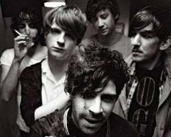 Foals