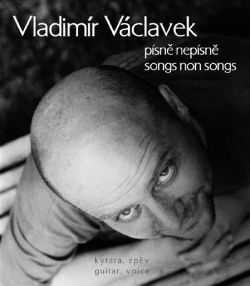 Vladimír Václavek - Písně nepísně