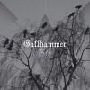 Gallhammer - The End