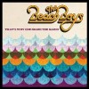 The Beach Boys - That's Why God Made The Radio (album)