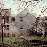 Sundays On Clarendon Road - Walking Into Limbo