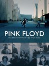 Pink Floyd - Story Of Wish You Were Here