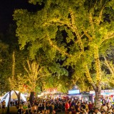 Sziget Festival 2017, Budapešť, 9.-15.8.2017