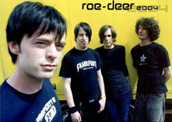 Roe-Deer 2004