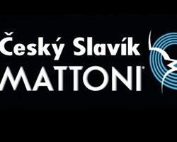 Český slavík logo