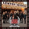 Lynyrd Skynyrd - One More For The Fans