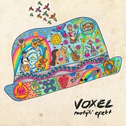 Voxel - Motýlí efekt