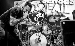 Senses Fail