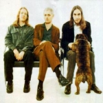 Dinosaur Jr. N