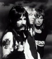 The Spinal Tap