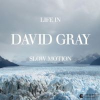 David Gray - Life In Slow Motion