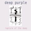 Deep Purple - Rapture Of The Deep