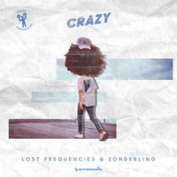 Lost Frequencies - Crazy
