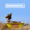 Rudimental - Toast To Our Differences
