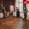 Smetanovo trio - Zemlinsky, Rachmaninov, Arensky: Klavírní tria