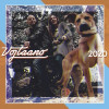 Vojtaano - 2020