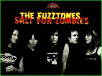 The Fuzztones N