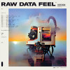 Everything Everything - Raw Data Feel