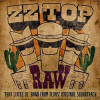 ZZ Top - Raw ('that Little Ol' Band From Texas)