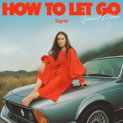 Sigrid - It Gets Dark (Special Edition)