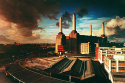 Pink Floyd Animals 77