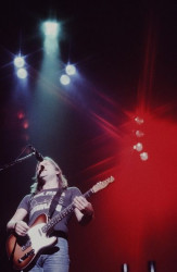 David Gilmour 1977