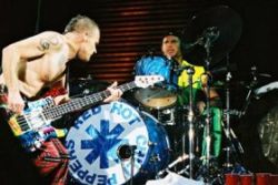 Red Hot Chili Peppers d