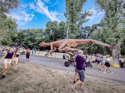 Sziget - den 1, Óbudai island, Budapešť, Maďarsko, 7.8.2024