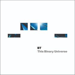 BT - This Binary Universe