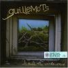 Guillemots - Through The Window Pane
