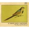 A Hawk And A Hacksaw - Way The Wind Blows