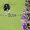 Feng-yün Song & Trio PUO - Wild Flower