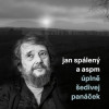 Jan Spálený & ASPM - Úplně šedivej panáček