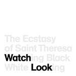 Ecstasy Of St. Theresa - Watching Black White Looking