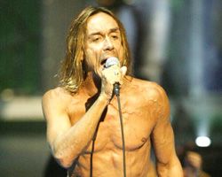 Iggy Pop