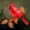 Sporto - One Minute Cardinal