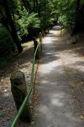 Cesta, Folkové prázdniny, Náměšť nad Oslavou, 19.-26.7.2008