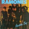 Ramones - Animal Boy